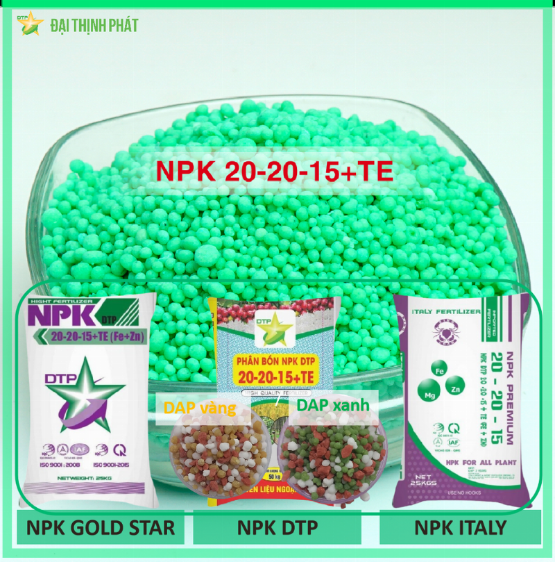 So sánh cây trồng phát triển tốt nhờ NPK 20 20 15 và cây thiếu dinh dưỡng